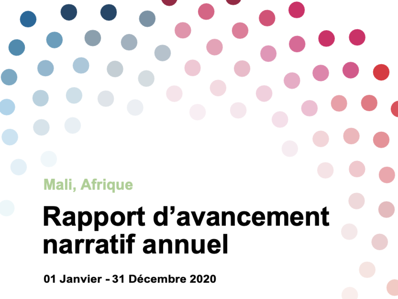 Spotlight Initiative Mali Report 2020