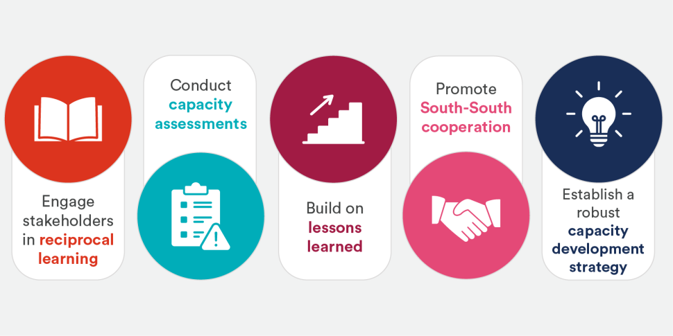 Engage stakeholders in reciprocal learning, Conduct capacity assessments, Build on lessons learned, Promote South-South cooperation, Establish a robust capacity development strategy