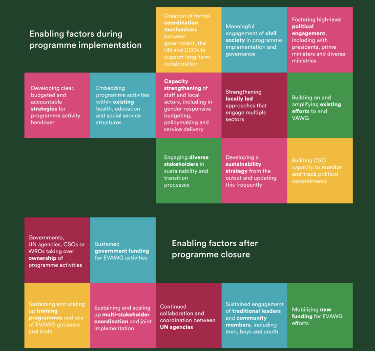 18 sustainability-enabling factors for EVAWG programmes