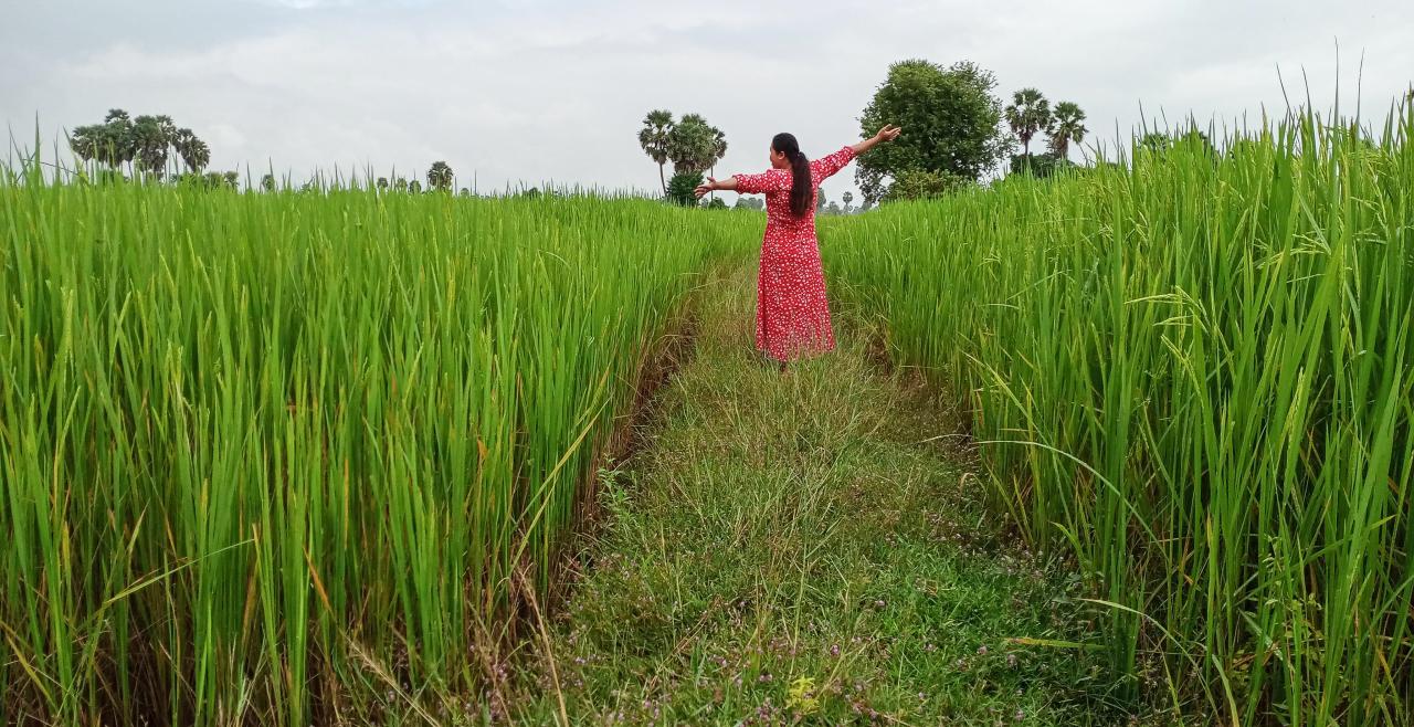 A woman in a red dress standing in rice fields