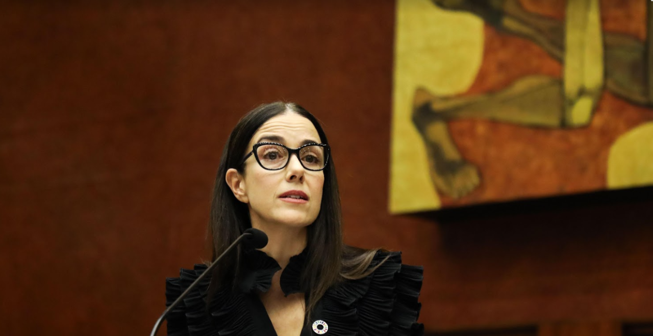 Ms Suarez stands at a lectern