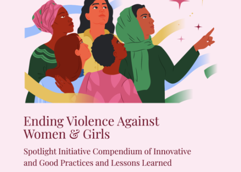 Spotlight Initiative Compendium