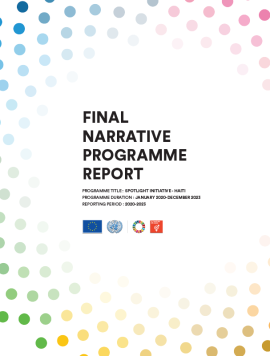 Final Narrative Programme Report 